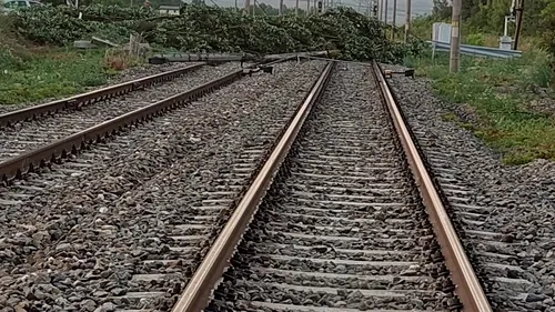 Brașov: Circulația feroviară, oprită din cauza unor copaci căzuți pe calea ferată