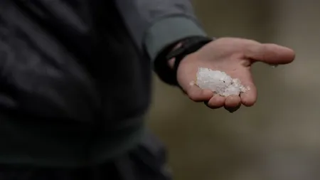 Gridina a provocat pagube de cel puțin 50 milioane de euro la Sofia