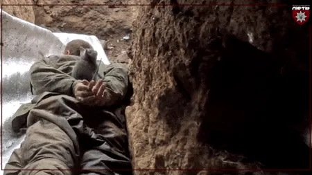 VIDEO | Imagini emoționante: o „pisică de tranșee” păzește un prizonier rus capturat de polițiștii ucraineni