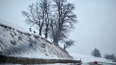 Transalpina, drumul închis și IZOLAT de autorități în fiecare iarnă. SOLUȚIA disperată găsită de oamenii de afaceri din zonă
