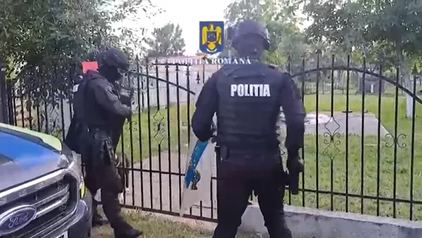 Percheziții în Prahova. Un bărbat antrena și organiza lupte ILEGALE de câini