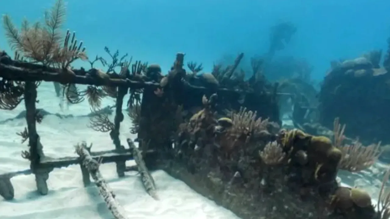 Resursele de pe fundul oceanelor | Un pas prea departe pentru TRANZIȚIA verde?