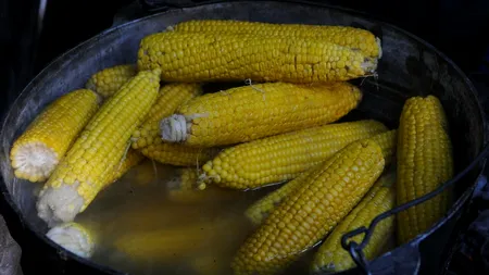 Cum să pregătești porumbul fiert, pentru a fi DELICIOS. Obține gustul savuros și textura ideală
