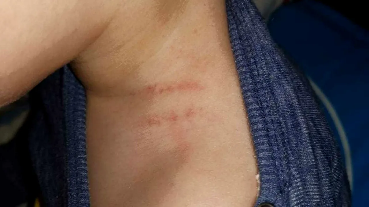 L-a STRÂNS de ORGANELE GENITALE și de GÂT și l-a amenințat că-l ÎNCHIDE cu cheia în bucătărie. Părinții unui copil reclamă EDUCATOAREA că le-a LOVIT băiatul