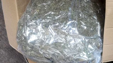 Polițiștii de pe litoral vor avea aparate pentru depistarea consumului de droguri