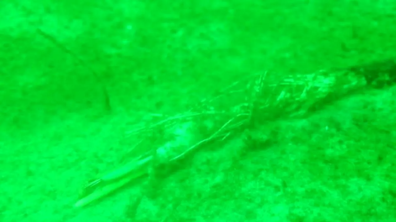 Incident misterios pe fundul mării. O stație de cercetare în valoare de 300.000 de euro a dispărut fără urmă