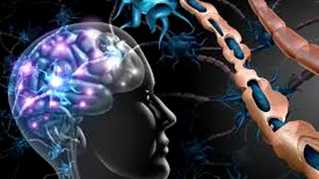 CORONAVIRUS. Au fost descoperite noi moduri în care coronavirusul atacă organismul uman