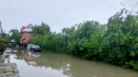 Ploile torențiale și grindina lasă DEZASTRU în urma lor în mai multe zone din țară: case inundate, copaci căzuți peste mașini, un pod s-a surpat