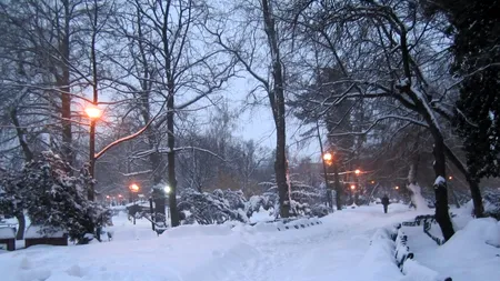 ANM anunță cât va mai ninge în București. Se va depune strat consistent de zăpadă/Situația pe Aeroportul „Henri Coandă”