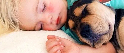 Prietenia emoționantă dintre un copil și un câine. FOTO