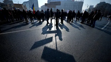 Romsilva dezvăluie cifre îngrijorătoare: În ultimii cinci ani s-au înregistrat 185 de agresiuni ale personalului silvic