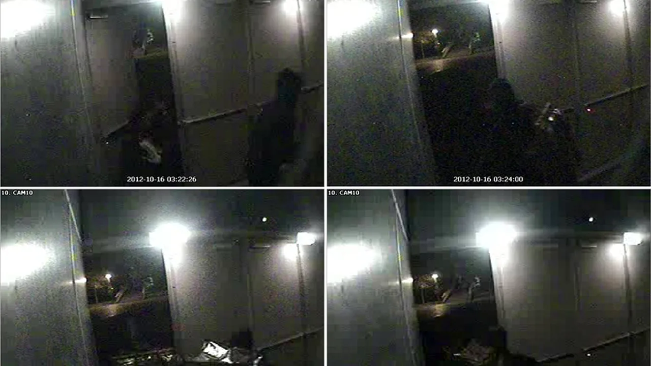 Un suspect în dosarul furtului de tablouri din Olanda, extrădat de britanici, a fost adus în România