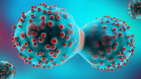 Alimentul la care trebuie sa renunti urgent. Te îmbătrânește înainte de vreme