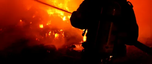 Incendiu puternic în desfășurare într-o pădure din Bacău
