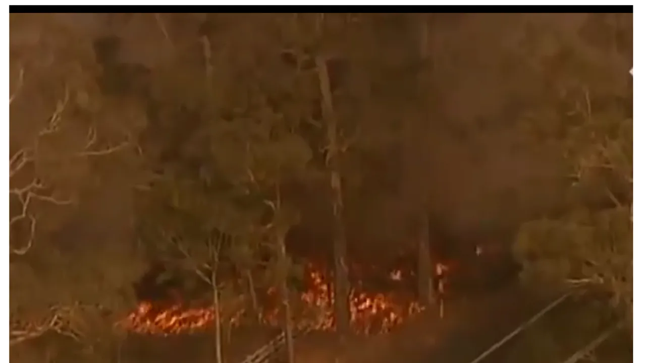 Anunțul îngrijorător făcut de NASA: Fumul degajat de incendiile din Australia vor face curând înconjurul globului