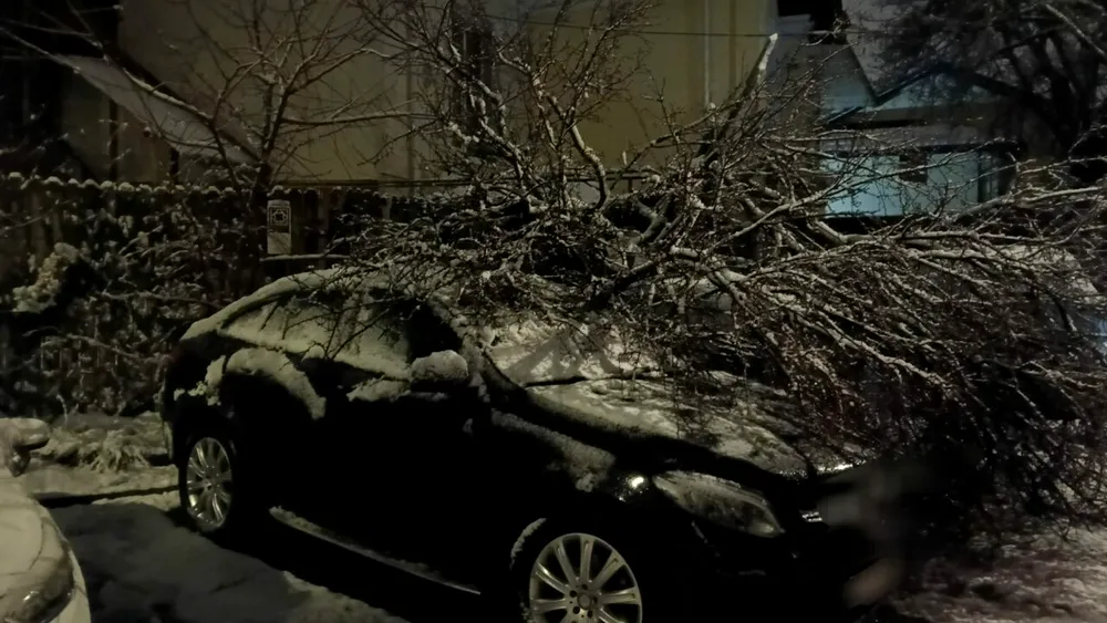 Zăpada a făcut ravagii şi în Argeş. Pe lângă drumurile cu circulaţie îngreunată, a doborât mai mulţi copaci peste maşini şi stâlpii de electricitate