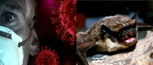 IPOTEZĂ ȘOCANTĂ Coronavirusul <i class='ep-highlight'>SARS</i>-<i class='ep-highlight'>CoV</i>-2 a infectat oamenii cu mult înainte să devină LETAL