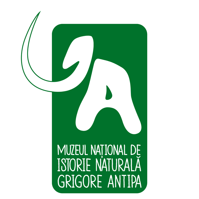 Muzeul Antipa are o nouă identitate vizuală și va căuta un nou slogan cu ajutorul publicului