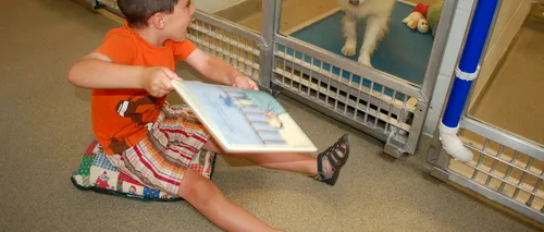 Experiment inedit: Copiii le citesc câinilor pentru a-i calma