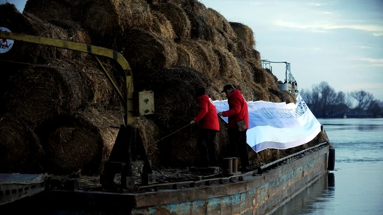Furaje contaminate, de proveniență românească și sârbă, au fost descoperite în Olanda