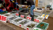 Alertă în China: A fost descoperită o bacterie care cauzează holeră, într-o piață din Wuhan / Cine este pacientul „zero”