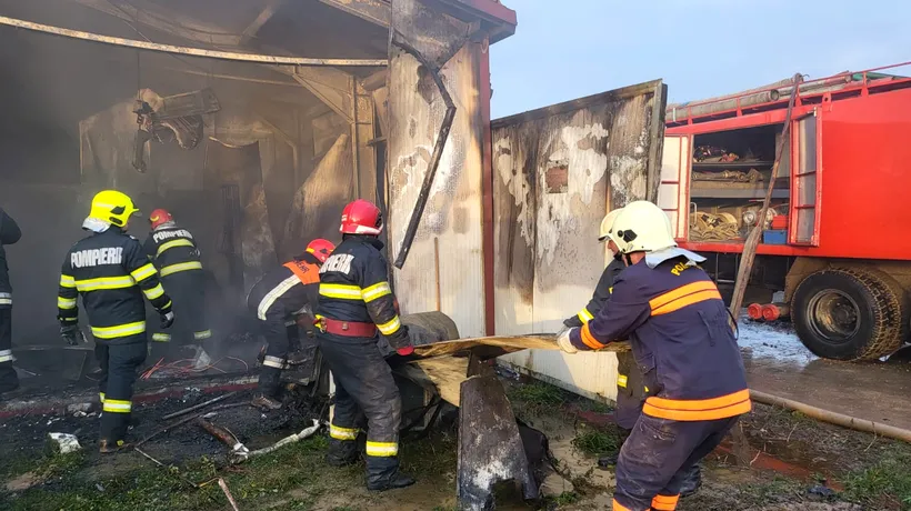 Incendiu la o fermă avicolă din Satu Mare! 9.000 de găini au murit carbonizate