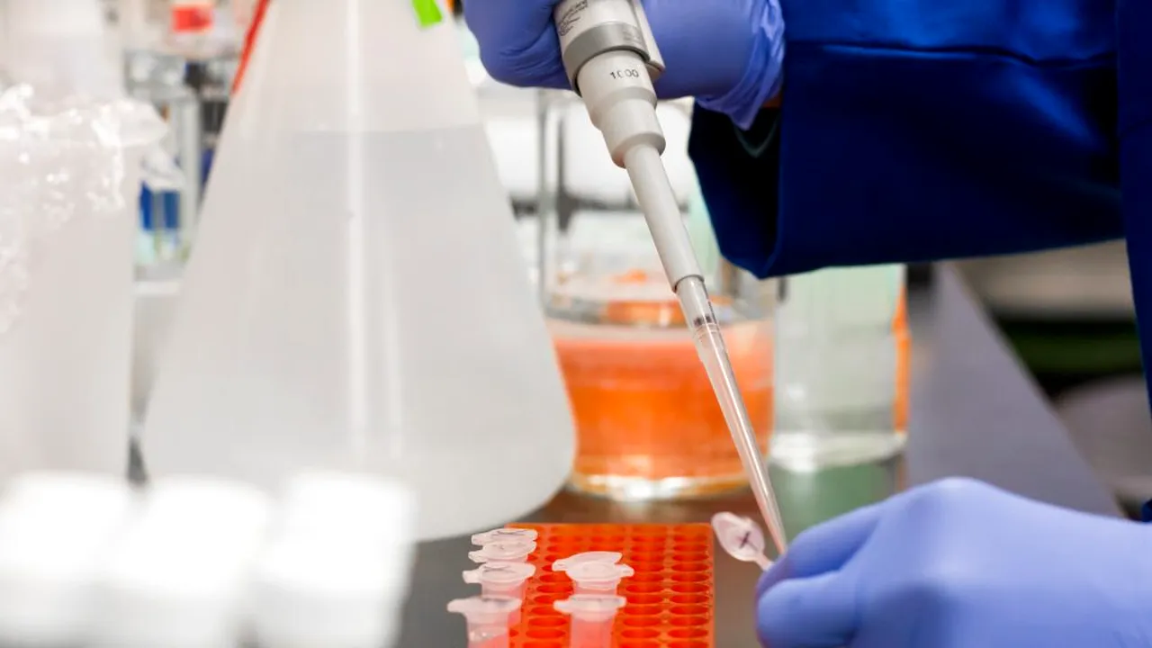 EXCLUSIV. Un angajat al unei corporații din București, diagnosticat cu CORONAVIRUS. Colegii sunt invitați să lucreze de acasă și să limiteze interacțiunile cu cei din jur