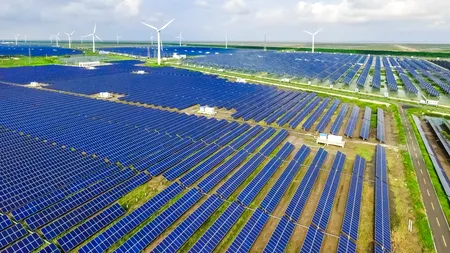 Care sunt proiectele eoliene și fotovoltaice CÂȘTIGĂTOARE la prima licitație a Contractelor pentru Diferență (CFD). Lista Ministerului Energiei