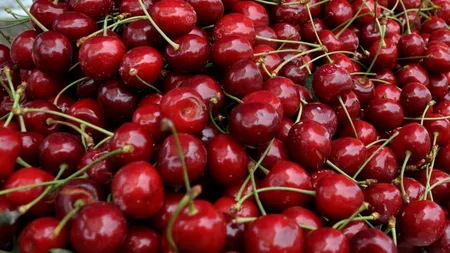 Doi bărbați au intrat într-o livadă să fure cireșe, unde s-au întâlnit cu administratorul. Întâmplarea s-a terminat cu focuri de armă și trei dosare penale