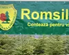 Avalanșă de candidați pentru funcția de director general interimar la Romsilva