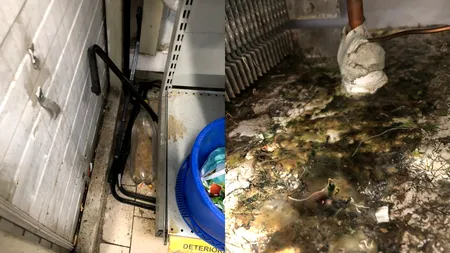 GALERIE FOTO | Gândaci morți, rugină și resturi alimentare în mai multe magazine Profi din București