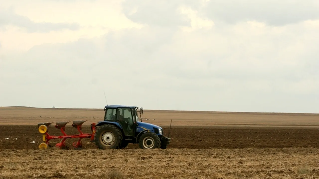 Propunerea ARD pentru mediul rural: să se plătească doar asigurările de sănătate pentru oamenii angajați la munci agricole