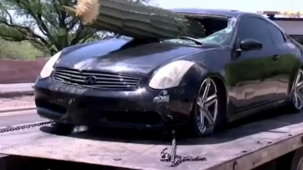 Imagini șocante: Un cactus gigant era să îl omoare, dar bărbatul a supraviețuit ca prin minune - VIDEO