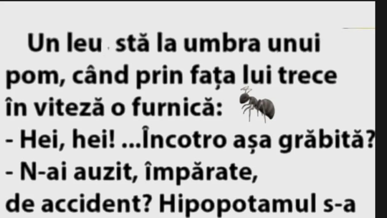 BANCUL ZILEI | „Un leu stă la umbra unui pom”
