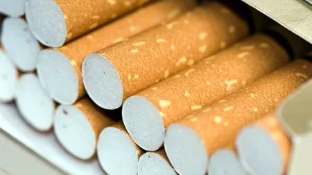 CAPTURĂ uriașă în Portul Constanța: Contrabandă mascată în role de hârtie, descoperită într-un container din Emirate