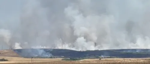 VIDEO | Octavian Berceanu despre incendiile de miriști: Focul se întinde cu viteză foarte mare și cenușă rezultată se împrăştie pe distanţe mari, poluând grav aerul