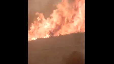 20 de persoane din Spania au fost rănite după ce au sărit pe geamul unui tren cuprins de flăcări