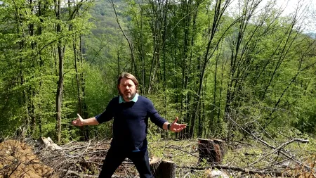 Senatorul Mihai Goțiu: „Un brigadier silvic a fost găsit spânzurat, iar un pădurar din subordinea lui ar fi încercat să se sinucidă cu o supra-doză de medicamente”