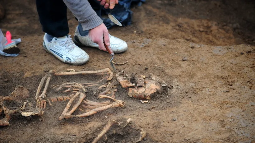 Schelete umane descoperite de muncitorii Apa Nova pe Șoseaua Cotroceni din București