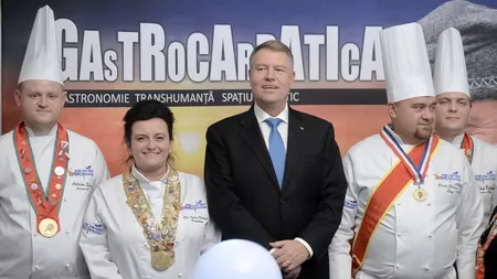 Guvernul, fără doi miniștri la Bruxelles. Premierul VA SESIZA Curtea Constituțională