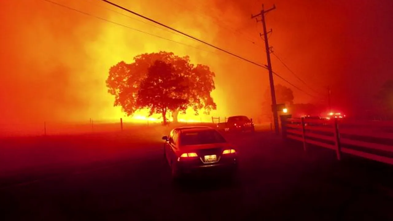 Alimentul la care trebuie să renunțăm pentru a combate încălzirea globală 