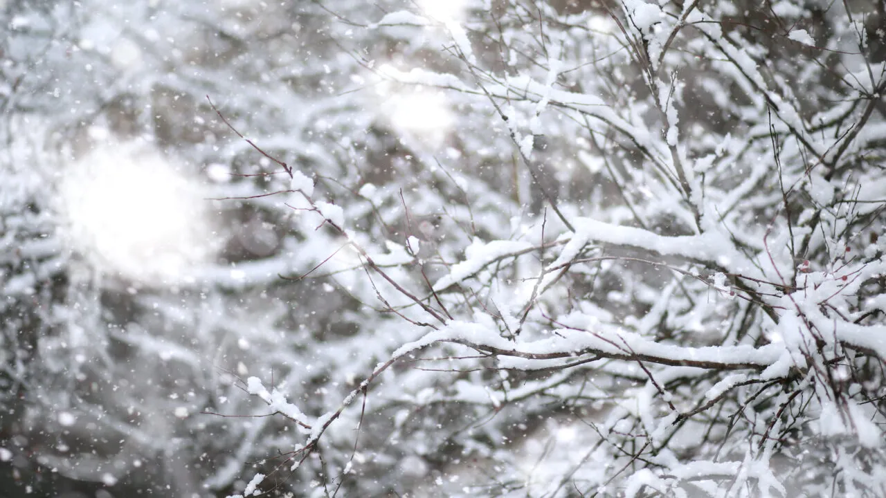 ANM anunță temperaturi de -13 grade și ninsori abundente în toată țara. Cum va fi vremea în perioada 19 ianuarie - 1 februarie