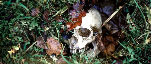 CRANIU uman, descoperit lângă un bârlog de urs din județul Buzău. Acesta ar aparține unui localnic, dispărut în urmă cu 3 luni
