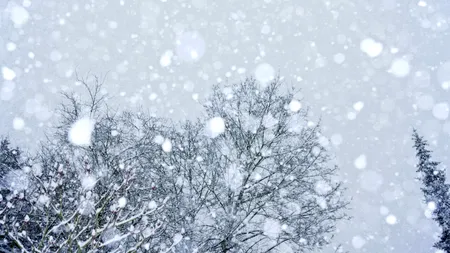 A fost activat centrul de urgență, din cauza vremii severe din București. Ce situații de risc au apărut