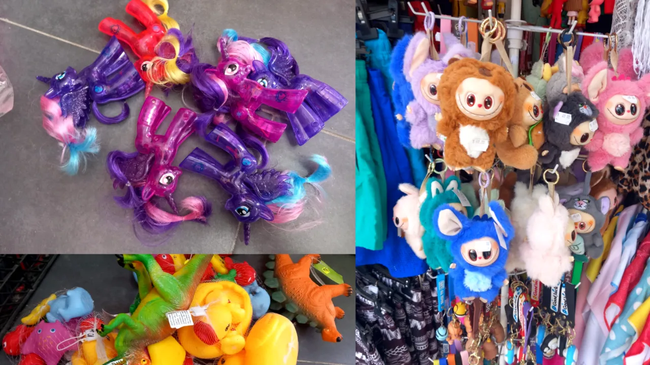 Comandamentul Litoral ANPC 2025: măsuri ferme pentru protecția consumatorilor – 205 controale și sancțiuni în valoare de aproximativ 800.000 lei