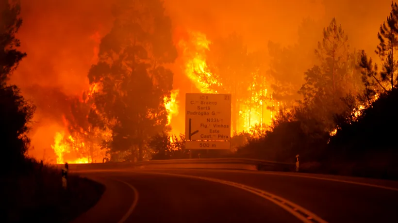 Tragedie într-o pădure din Portugalia. 57 de morți și 59 de răniți într-un incendiu teribil: Oamenii au ars de vii în mașinile lor