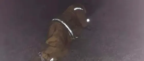 Imaginea emoționantă cu un pompier extenuat din Australia, care încearcă să se odihnească 5 minute între ture de 12 ore. A căzut în grădină, extenuat