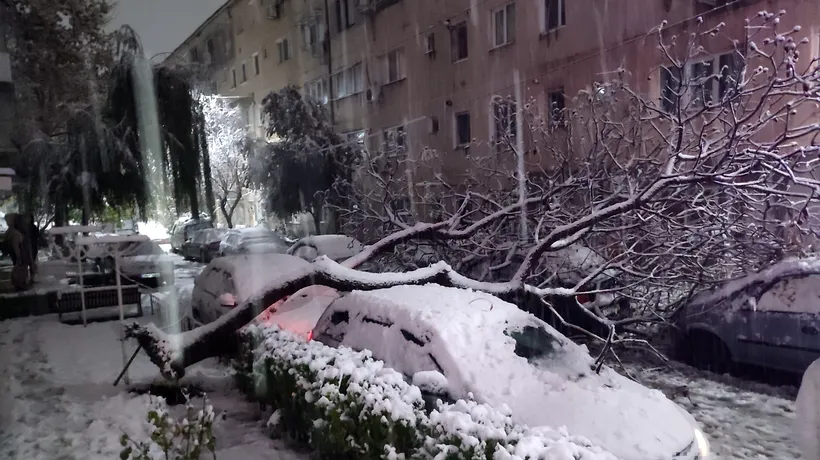 Vântul puternic a pus la pământ Capitala. COPACI căzuți și autoturisme avariate în București