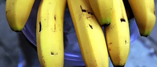 Anunț îngrijorător: 85% din producția mondială de banane ar putea fi distrusă. Care este motivul
