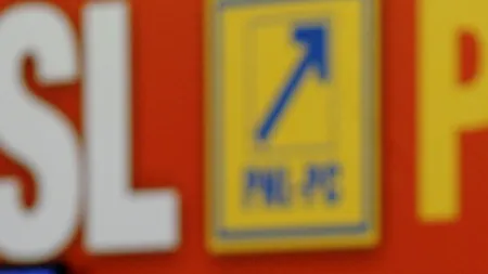 Panouri cu candidații PDL și USL la Primăria Ploiești și la șefia CJ Prahova, puse deja în județ